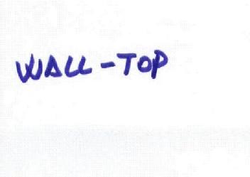 WALL-TOP