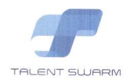 TS TALENT SWARM