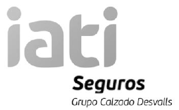 IATI SEGUROS GRUPO CALZADO DESVALLS