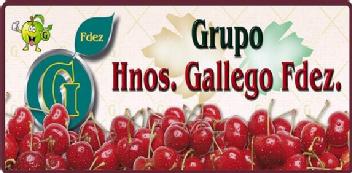 GRUPO HNOS. GALLEGO FDEZ