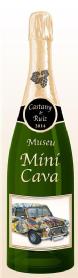 CASTANY & RUIZ 2014 MUSEU MINI CAVA