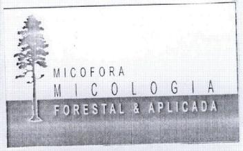 MICOFORA MICOLOGIA FORESTAL & APLICADA