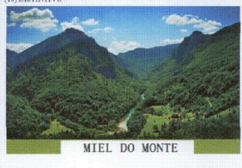 MIEL DO MONTE
