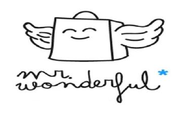 MR. WONDERFUL*