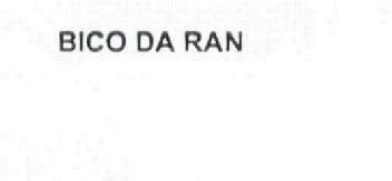 BICO DA RAN