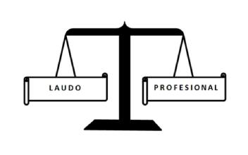 LAUDO PROFESIONAL