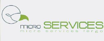 MICRO SERVICES FERGO
