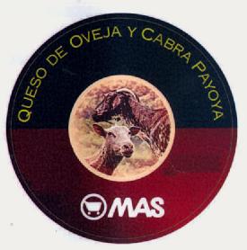 QUESO DE OVEJA Y CABRA PAYOYA MAS