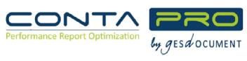 CONTAPRO PERFORMANCE REPORT OPTIMIZATION BY GESDOCUMENT