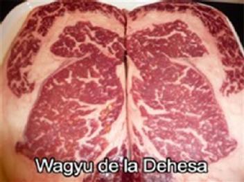 WAGYU DE LA DEHESA