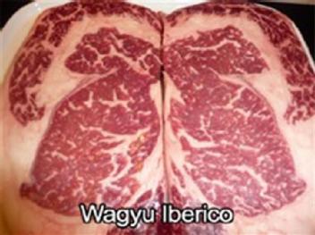 WAGYU IBERICO
