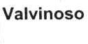 VALVINOSO
