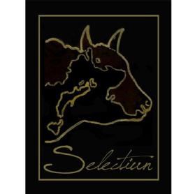 SELECTIUN