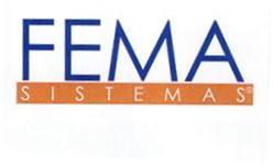 FEMA SISTEMAS
