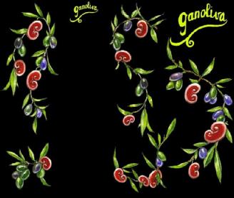 GANOLIVA