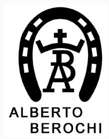 AB ALBERTO BEROCHI