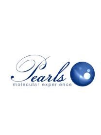 PEARLS, MOLECULAR EXPERIENCE