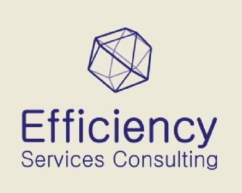 EFFICIENCY SERVICES CONSULTING