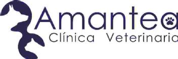AMANTEA CLINICA VETERINARIA