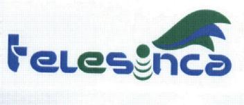 TELESINCA
