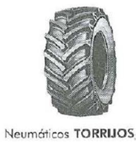 NEUMATICOS TORRIJOS