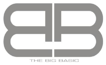 THE BIG BASIC
