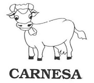 CARNESA