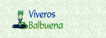 VB VIVEROS BALBUENA