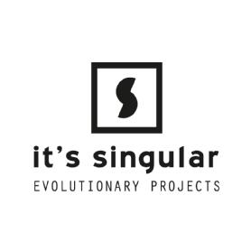 IT'S SINGULAR