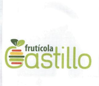 FRUTICOLA CASTILLO