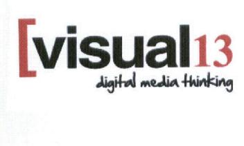 VISUAL 13 DIGITAL MEDIA THINKING