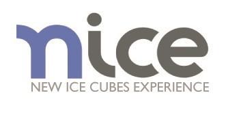 NICE NEW ICE CUBES EXPERIENCE
