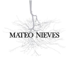 MATEO NIEVES