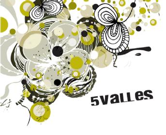 5 VALLES