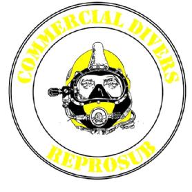 REPROSUB COMERCIAL DIVERS