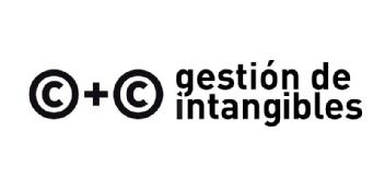 C + C GESTION DE INTANGIBLES