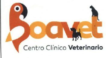 BOAVET CENTRO CLÍNICO VETERINARIO