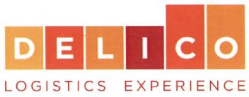 DELICO LOGISTICS EXPERIENCE