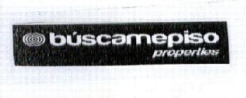 BUSCAMEPISO PROPERTIES