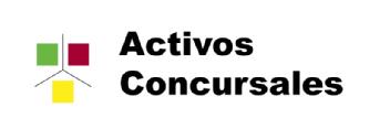 ACTIVOS CONCURSALES