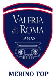 VALERIA DI ROMA LANAS MERINO TOP