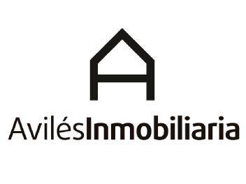 AVILES INMOBILIARIA