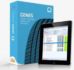 GENES GESTION INTEGRAL DE NEGOCIOS DEL NEUMATICO