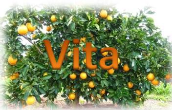 VITA