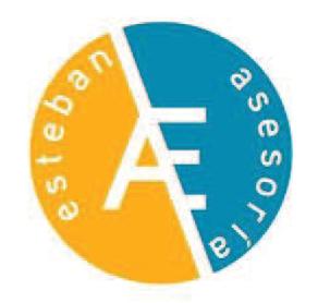 ASESORIA ESTEBAN AE