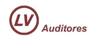 LV AUDITORES