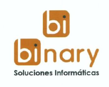 BI BINARY SOLUCIONES INFORMATICAS