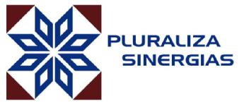 PLURALIZA SINERGIAS