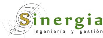 SINERGIA INGENIERIA Y GESTION