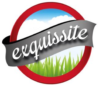 EXQUISITTE